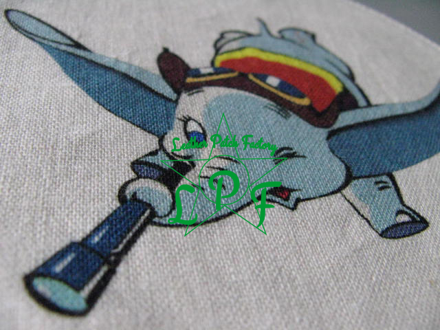 F30・6th Reconnaissance Group スコードロンパッチ