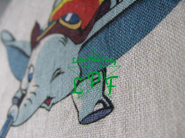 F30・6th Reconnaissance Group スコードロンパッチ